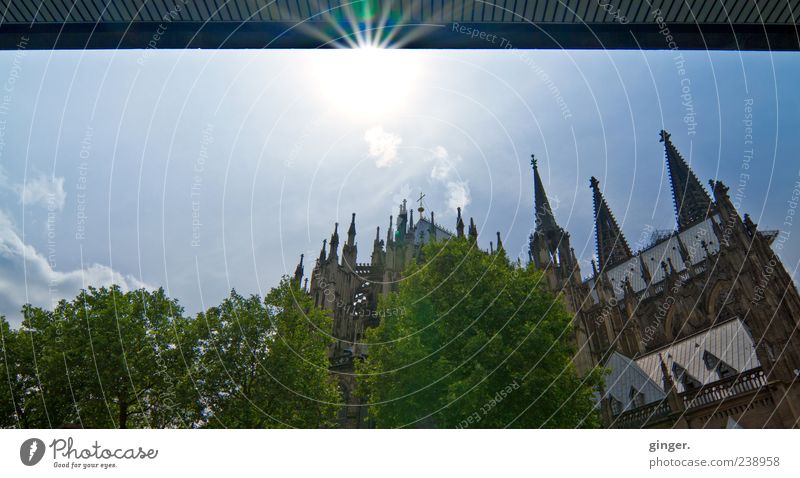 With a view of the cathedral Culture Sky Summer Beautiful weather Cologne Cologne Cathedral Downtown Church Dome Tower Manmade structures Building Architecture