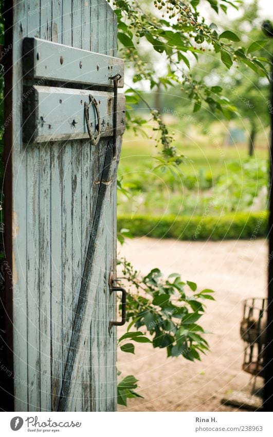 Open stable door - view of the farm garden Summer Beautiful weather Authentic Rural Country life Farm Garden Wooden door Colour photo Exterior shot Deserted