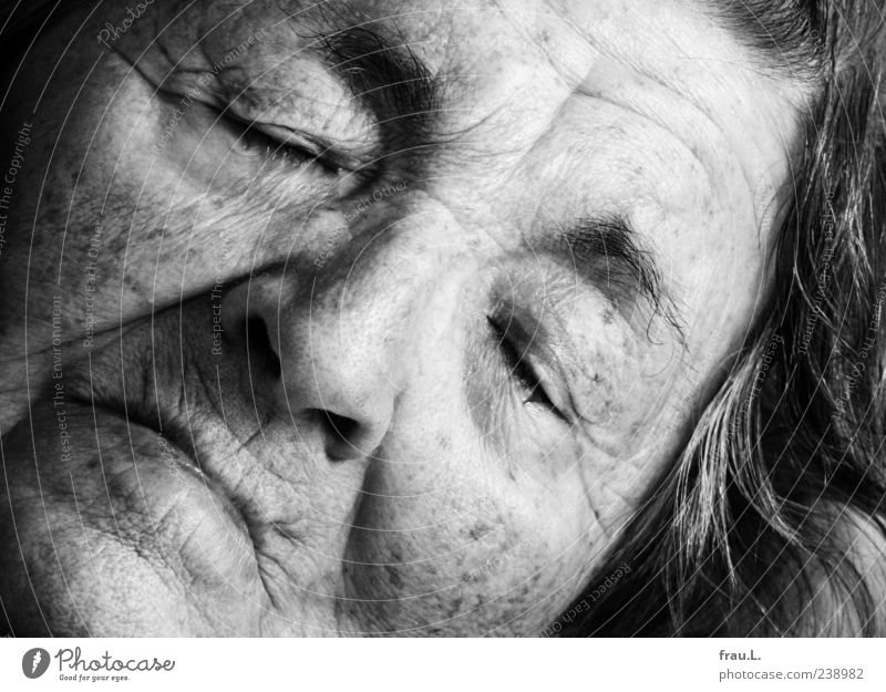 About living and dying Human being Woman Adults Female senior Senior citizen Face 1 60 years and older Old Sleep pretty Emotions Fatigue Exhaustion Calm Past