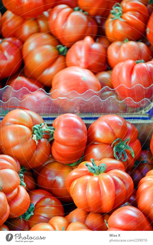 tomatoes Food Vegetable Nutrition Organic produce Vegetarian diet Fresh Delicious Round Juicy Red Tomato Farmer's market Vegetable market Greengrocer
