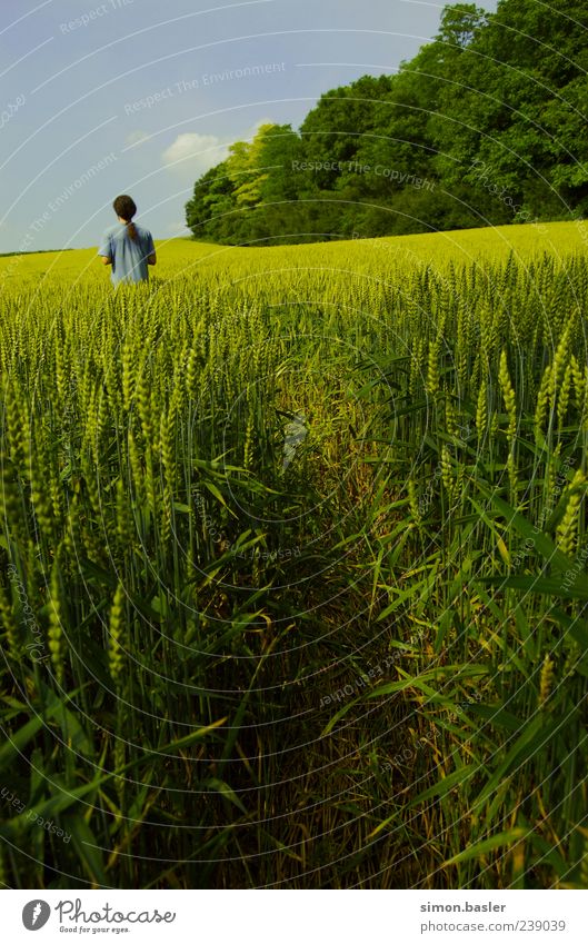 Where to? ?! Masculine 1 Human being Environment Nature Sky Summer Beautiful weather Agricultural crop Field T-shirt Long-haired Loneliness Life Colour photo
