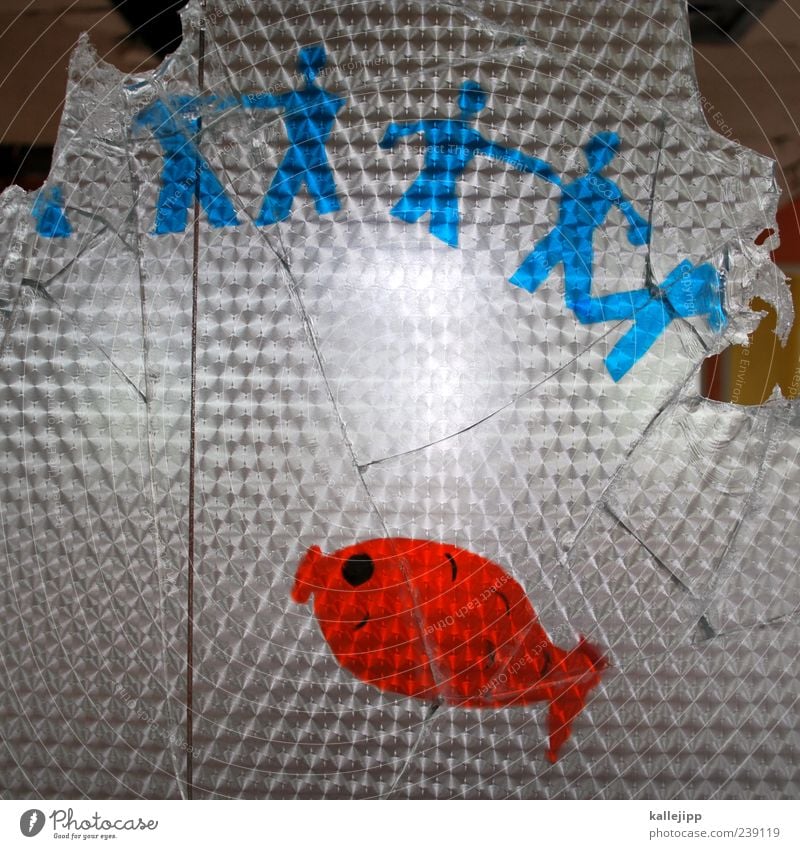 fish heads Lifestyle Playing Human being Group Group of children Crowd of people Fish 1 Animal Sign Touch Society Team Broken Kindergarten Nursery school child