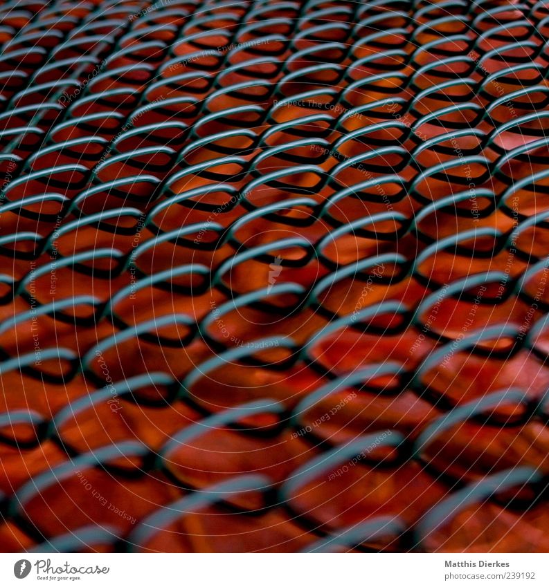 lattice Metal Old Hot Fence Wire Wire netting Embers Red Colour photo Exterior shot Deserted Day Shallow depth of field Exceptional Structures and shapes