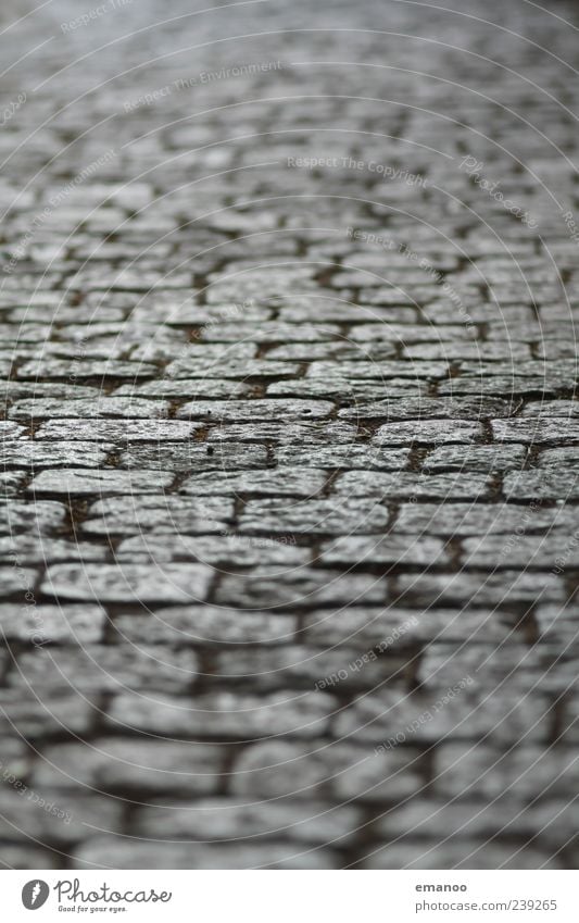 Schlossbergweg Traffic infrastructure Street Lanes & trails Stone Going Paving stone Square Old Blur Line Offset Exterior shot Close-up Detail Abstract Pattern