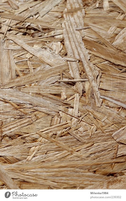background Wood Brown Yellow compressed wood Shavings chipboard Wood shavings Structures and shapes splinter of wood Colour photo Exterior shot Deserted