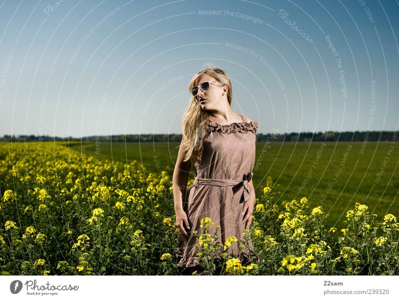 flower power Lifestyle Elegant Relaxation Feminine Young woman Youth (Young adults) 1 Human being 18 - 30 years Adults Nature Landscape Sky Summer Flower Field