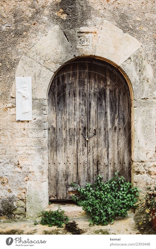 old door Harmonious Calm Leisure and hobbies Vacation & Travel Trip Sightseeing Nature Summer Bushes Italy Small Town Old town Wall (barrier) Wall (building)