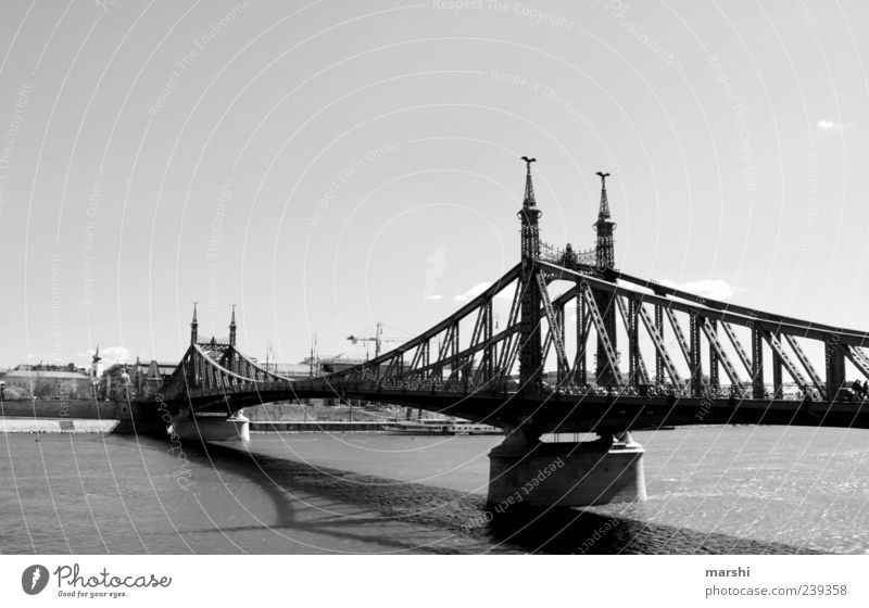 freedom bridge Capital city Bridge Tourist Attraction Black Bridge railing Bridge pier Bridge construction Long Budapest Danube Water River Sky