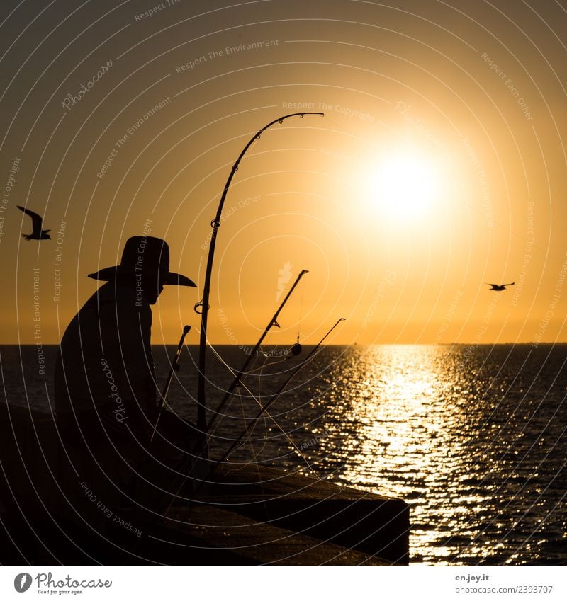 Relax Leisure and hobbies Fishing (Angle) Vacation & Travel Man Adults 1 Human being Sky Horizon Sun Sunrise Sunset Summer Ocean Florida USA Americas