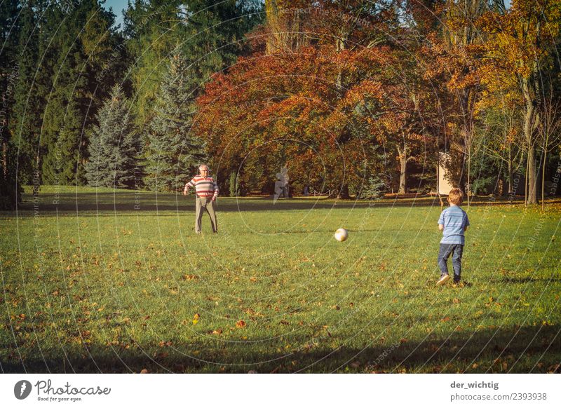 Grandpa & grandchildren play football Sports Soccer Human being Masculine Child Man Adults Grandfather 2 3 - 8 years Infancy 60 years and older Senior citizen
