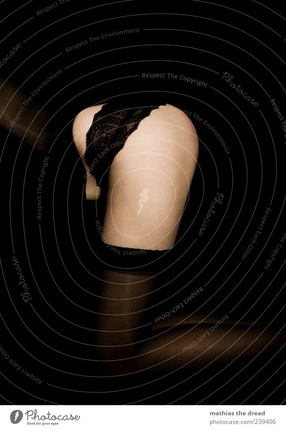 curvature Elegant Style Human being Feminine Young woman Youth (Young adults) Clothing Stockings Underwear Crouch Esthetic Dark Beautiful Eroticism Lace Frills