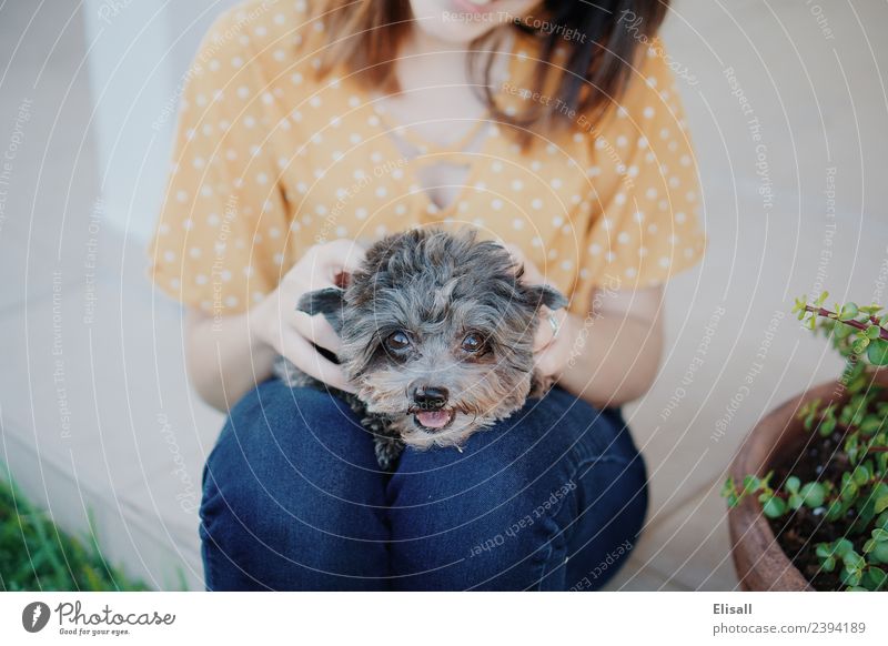 Woman and her pet dog Lifestyle Joy Leisure and hobbies Human being Adults Friendship 1 18 - 30 years Youth (Young adults) Animal Pet Dog To enjoy Emotions