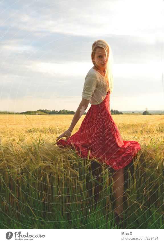 red favorite dress Beautiful Calm Human being Feminine Young woman Youth (Young adults) 1 18 - 30 years Adults Sunlight Summer Grass Field Fashion Dress Blonde