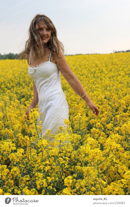 sea of gold Human being Feminine Young woman Youth (Young adults) Woman Adults 1 18 - 30 years Nature Landscape Plant Flower Bushes Canola Canola field Dress