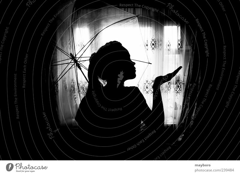 silhouette of a girl Freedom Summer Human being Child Woman Adults Head 1 13 - 18 years Youth (Young adults) Weather Window Tall Expression light umbrella Dusk