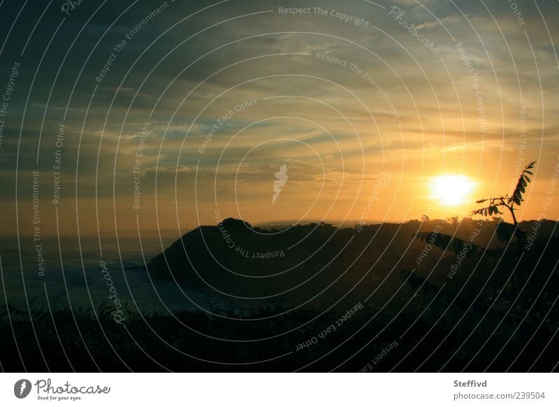 bonjour Nature Landscape Plant Water Sky Clouds Horizon Sun Sunrise Sunset Sunlight Summer Weather Beautiful weather Warmth Bushes Leaf Rock Coast Ocean