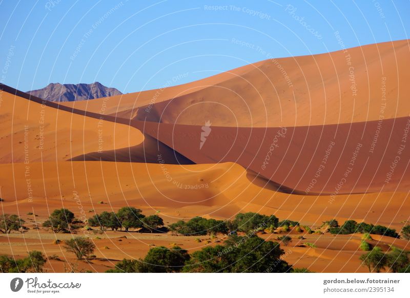 sand games Environment Landscape Earth Sand Beautiful weather Drought Desert Namib desert Deserted Grateful Caution Serene Patient Calm Longing Wanderlust