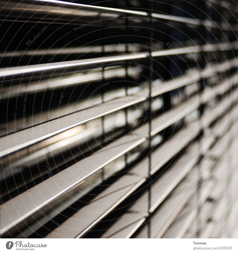 dimensions Window Sun blind Sharp-edged Modern Venetian blinds Colour photo Exterior shot Close-up Detail Abstract Pattern Structures and shapes Deserted Light