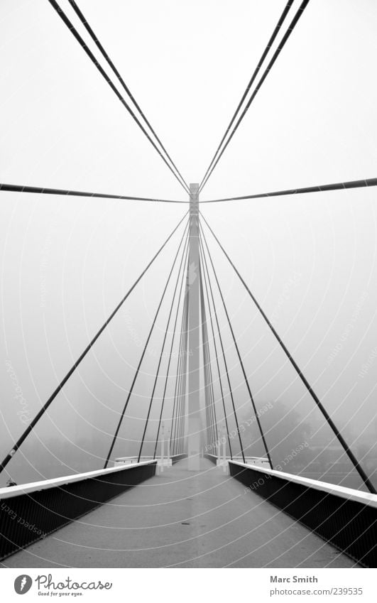 Stairway to the Stars Fog Populated Bridge Architecture Illuminate Gray Black White Black & white photo Exterior shot Deserted Morning Bridge construction