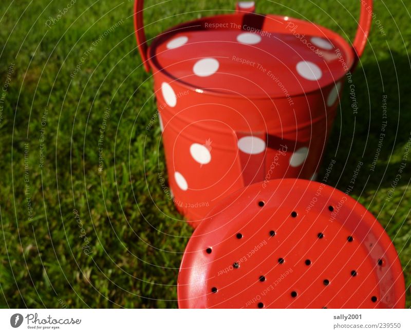 It's summer again... Watering can Meadow Metal Point Esthetic Happiness Red Spring fever Cast Gardener Gardening Spotted Colour photo Exterior shot Close-up