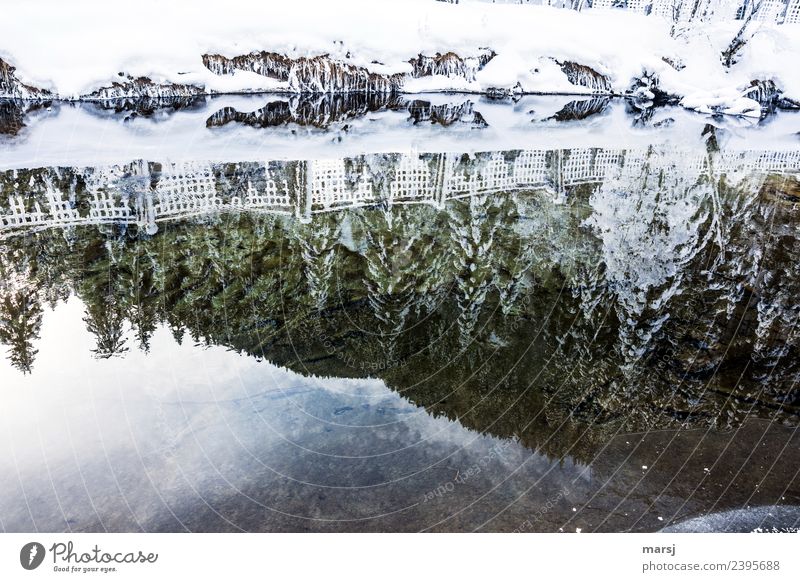 Still a little winter magic Life Calm Winter Winter vacation Nature Beautiful weather Ice Frost Snow Brook Hope Dream Grief Transience Irritation Reflection