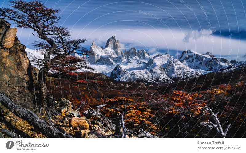 Fitz Roy View Hiking Adventure Far-off places Freedom Mountain Landscape Sky Clouds Forest Fitz Roy mountain Peak Snowcapped peak Gigantic Cold Brown Power