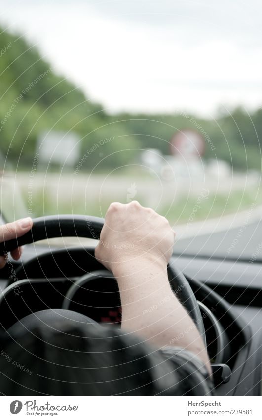 Flag, flag, flag on the motorway Arm Hand 1 Human being Motoring Street Car Driving Steering wheel Windscreen Shoulder Underarm Road sign Colour photo