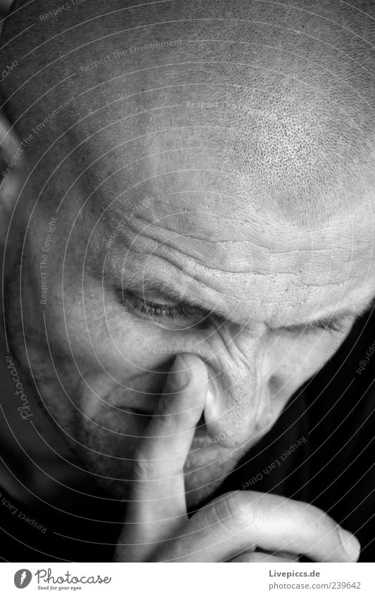 mesh Human being Masculine Man Adults Friendship Head 1 30 - 45 years Bald or shaved head Think Aggression Threat Cold Strong Anger Black White Moody Power