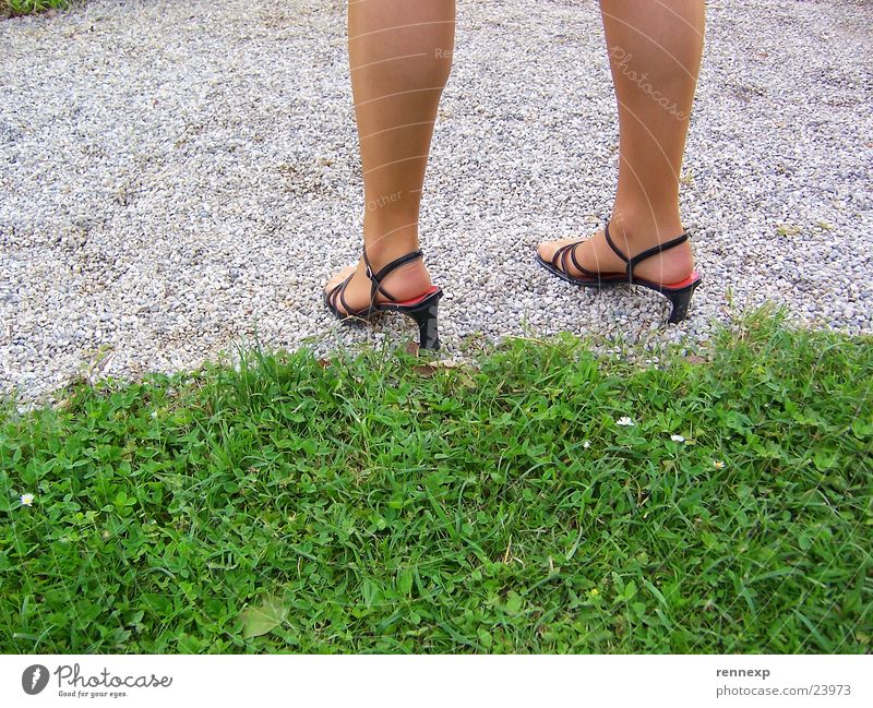 Beautiful legs Footwear High heels Tights Meadow Shank's mare Sandal Grass Park Gravel Lower leg Tighten Woman Legs Feet kathrin Garden Lanes & trails snapshot