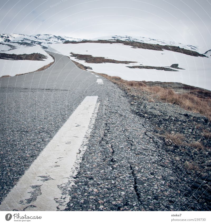 snow road Mountain Snowcapped peak Street Gloomy Gray White Loneliness Far-off places Norway Vacation & Travel Winter Marker line Asphalt Roadside Colour photo