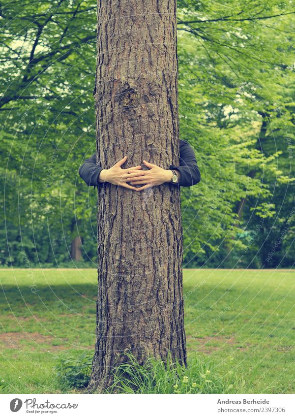Young man embracing a tall tree Beverage Life Harmonious Calm Summer Human being Masculine Youth (Young adults) Hand Nature Tree Park To hold on Love Embrace