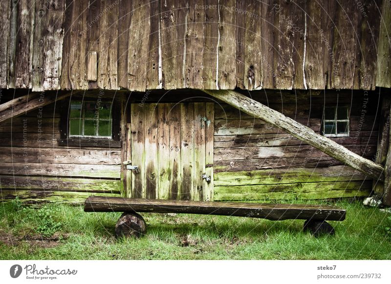 green brown Moss Meadow Hut Facade Window Door Wood Old Poverty Brown Green Norway Bench Rural Farm Colour photo Exterior shot Deserted Copy Space top