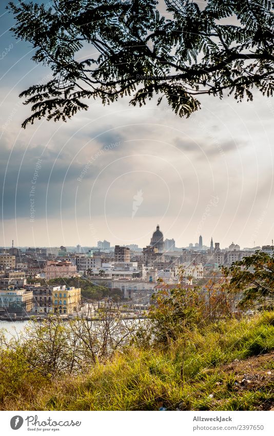 View of the skyline of Havana Cuba Island Socialism Vacation & Travel Travel photography Trip El Malecón Skyline Vantage point United States Capitol Landmark