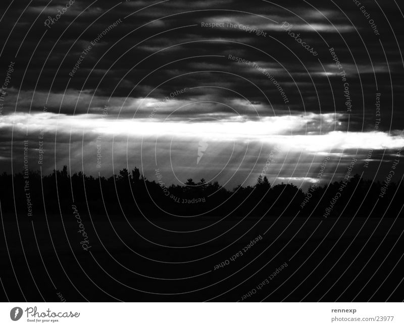 // Enlightenment - SW // Clouds Light Awareness Dark Bright Weather Panorama (View) Tree Sky Black & white photo Beam of light Lighting Crazy Morning Shadow