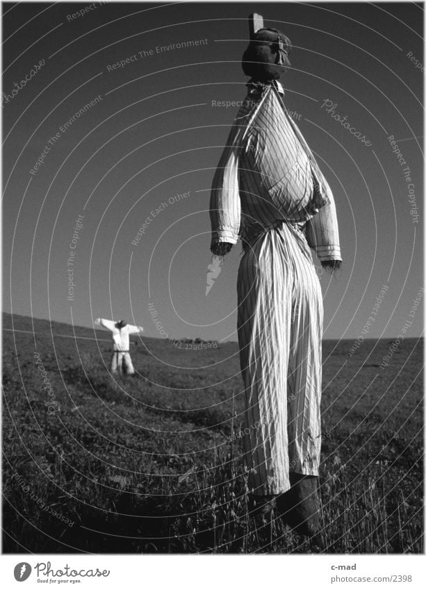 Scarecrows VI Rural Meadow Obscure Landscape Nature Black & white photo