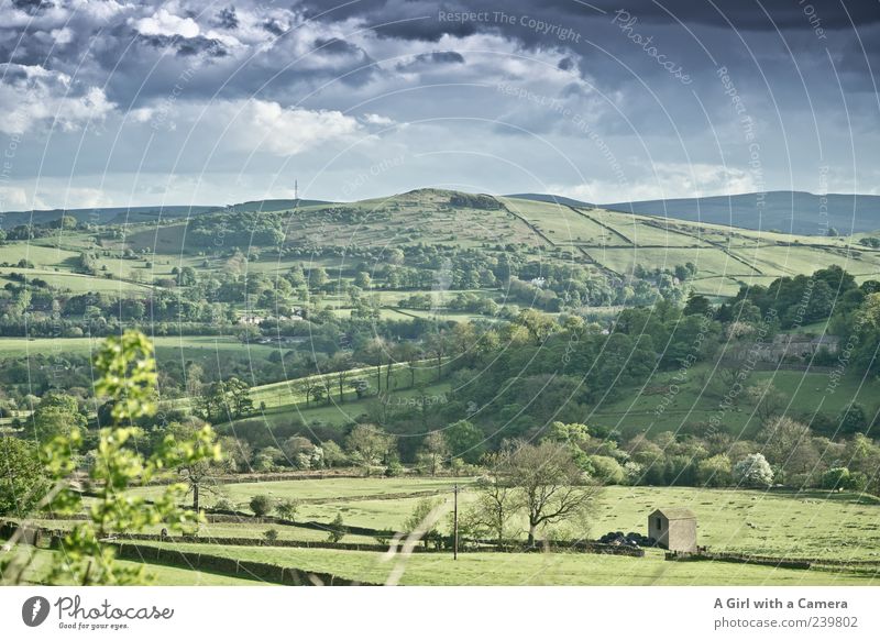 my father's youth Environment Nature Plant Elements Air Sky Clouds Storm clouds Spring Climate Weather Beautiful weather Bad weather Wind Grass Field Hill