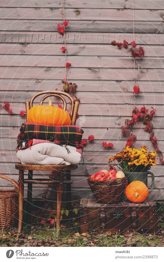 fall at country house. Seasonal rustic decorations Apple Lifestyle House (Residential Structure) Decoration Thanksgiving Plant Autumn Warmth Flower Wood Growth