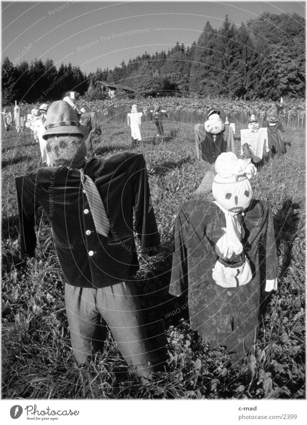 Scarecrows V Rural Meadow Obscure Landscape Nature Black & white photo