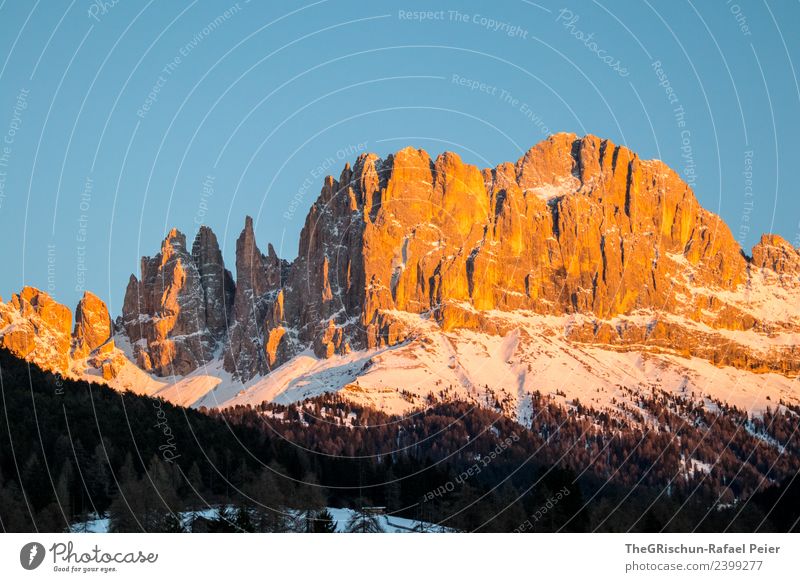 Dolomites Environment Nature Landscape Blue Brown Yellow Gold Black White Forest Mountain South Tyrol Snow Sky Peak Colour photo Exterior shot Deserted
