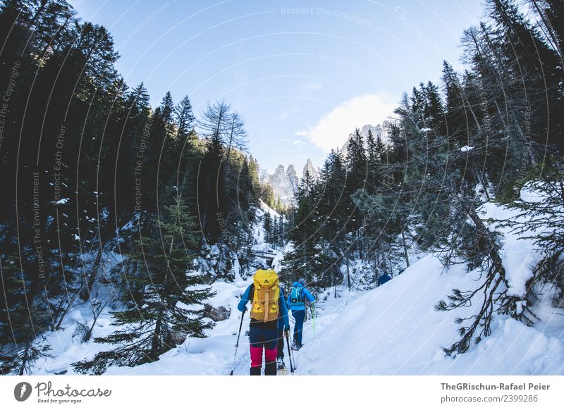 snowshoeing Environment Nature Landscape Blue Yellow Red Black White Mountain Forest Snow Tree Walking Snow shoes Hiking Winter Dolomites Vacation & Travel