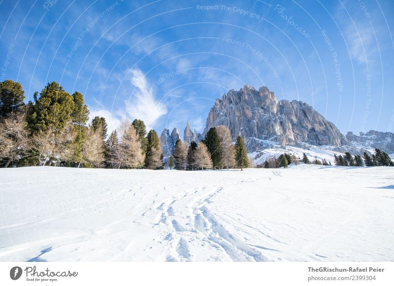 Dolomites Environment Nature Landscape Blue Brown Gray Green Black White Mountain Hiking Lanes & trails Tracks Snow Snow track Vantage point Go up Forest