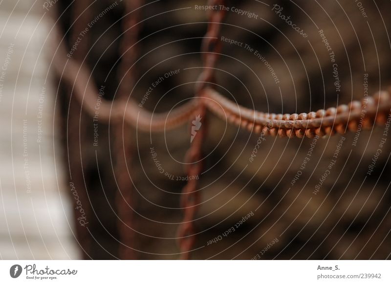 [Chain] Bridge Suspension bridge Wood Metal Rust Brown Gray Chain link Colour photo Exterior shot Close-up Detail Deserted Copy Space left Day Blur