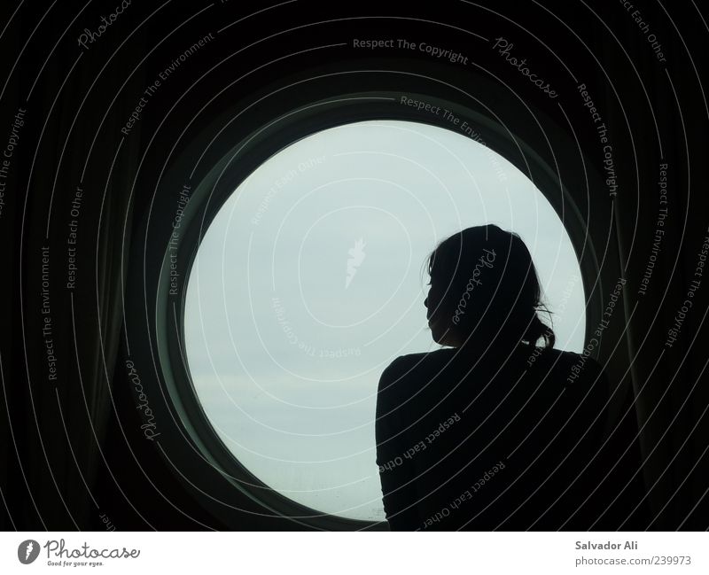 What are we dreaming about? Feminine Young woman Youth (Young adults) Cruise Cruise liner Glass Metal Beautiful Gray Emotions Wanderlust Meditative Silhouette