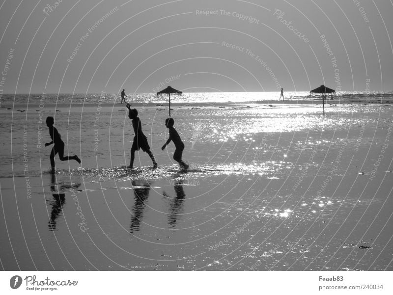 Kids of the sun Playing Freedom Beach Ocean Water Summer Coast Glittering Brash Happy Infinity Silver Joy Happiness Contentment Joie de vivre (Vitality) Horizon
