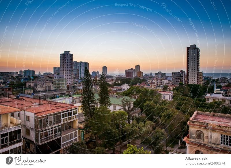 View over the skyline of Havana in Cuba Panorama (View) Sunset Summer Card Vacation & Travel Dusk Vantage point Skyline Deserted Palm tree Island