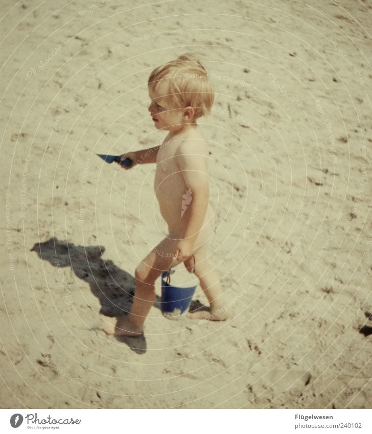 Little Sandman Leisure and hobbies Playing Vacation & Travel Tourism Trip Child Boy (child) 1 Human being Summer Beach Toys Sandy beach Bucket Colour photo