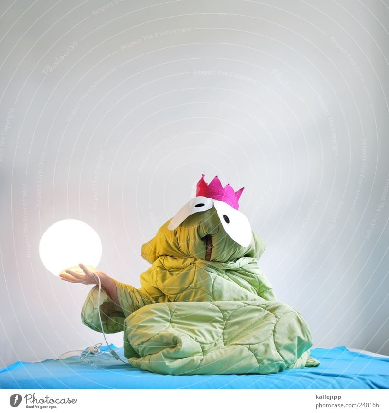 Once upon a time ... Human being Masculine Man Adults 1 Art Theatre Stage Actor Culture Animal Frog Green Prince Might Frog Prince Fairy tale Duvet Pillow Crown