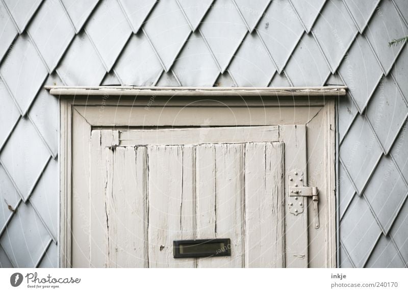 witch's house Hut Ruin Facade Door Mailbox Hinge Metal fitting Wood Hang Old Gloomy Gray Moody Decline Transience Living or residing Gardenhouse Closed Frame