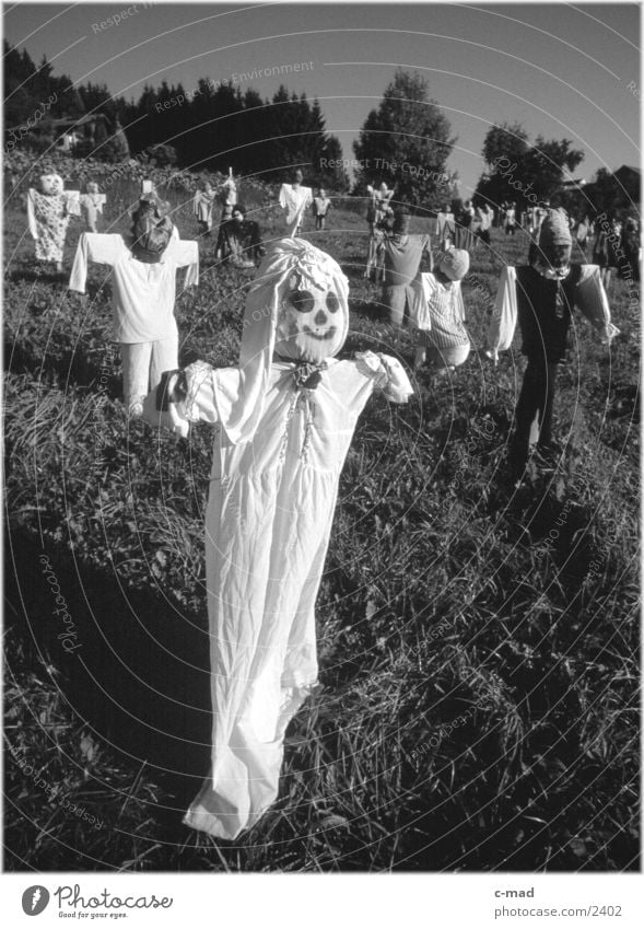 Scarecrow II Rural Meadow Obscure Landscape Nature Black & white photo