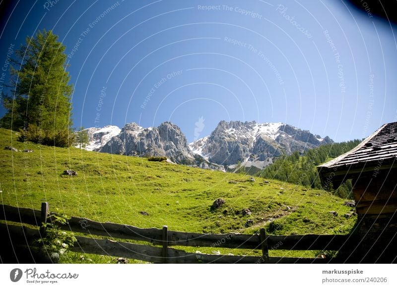 Mountain hut with view Vacation & Travel Far-off places Freedom Alpine hut Landscape Plant Animal Tree Grass Foliage plant Hill Rock Alps Dachstein mountains